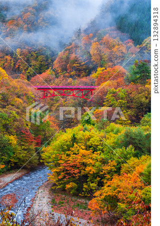 松川溪谷(秋季) 高山村 松川溪谷(秋季) 高山村 132894318