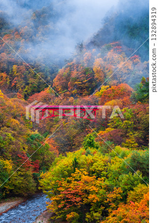 松川溪谷(秋季) 高山村 松川溪谷(秋季) 高山村 132894319