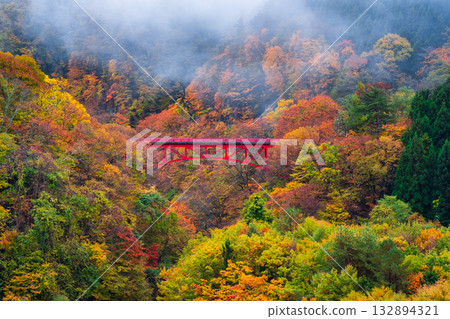松川溪谷（秋季） 高山村 132894321