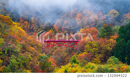 松川溪谷(秋季) 高山村 松川溪谷(秋季) 高山村 132894322