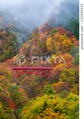 Matsukawa Valley (Autumn) Takayama Village 132894339