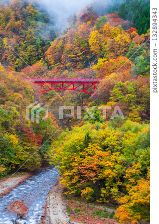 Matsukawa Valley (Autumn) Takayama Village 132894343