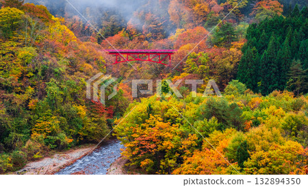 Matsukawa Valley (Autumn) Takayama Village 132894350