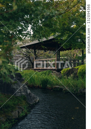 A garden with a pond A garden with a pond 132894366