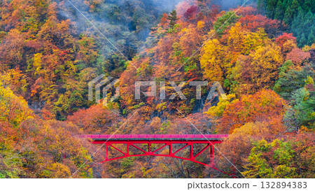 松川溪谷（秋季） 高山村 132894383