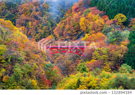 松川溪谷（秋季） 高山村 132894384