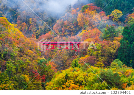 Matsukawa Valley (Autumn) Takayama Village 132894401