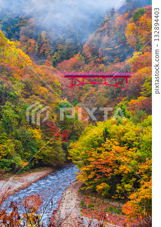 Matsukawa Valley (Autumn) Takayama Village 132894403