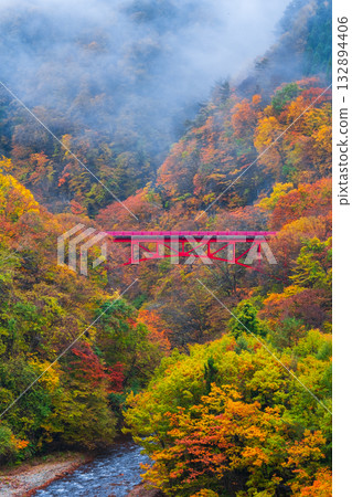 Matsukawa Valley (Autumn) Takayama Village 132894406