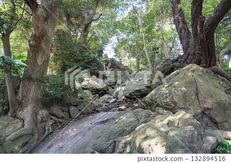 茨城大神神社的靈魂石 132894516