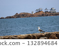 A seagull standing on the beach with the island of Atogashima floating offshore in the background 132894684