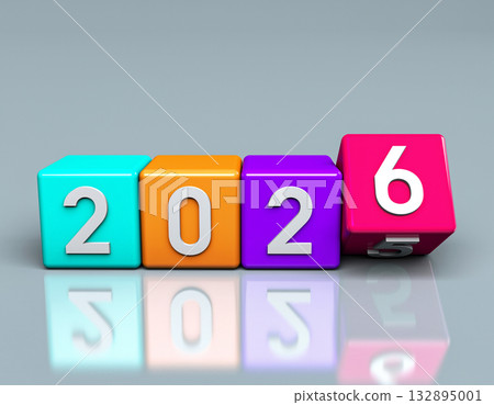 2025 ends and 2026 begins 2025 ends and 2026 begins 132895001