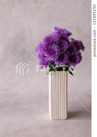 Purple Peacock Aster Purple Peacock Aster 132895250