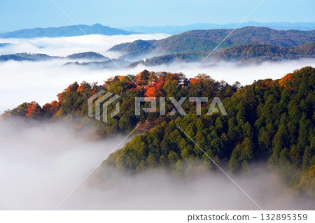 Autumn leaves in the sky 2432 Autumn leaves in the sky 2432 132895359