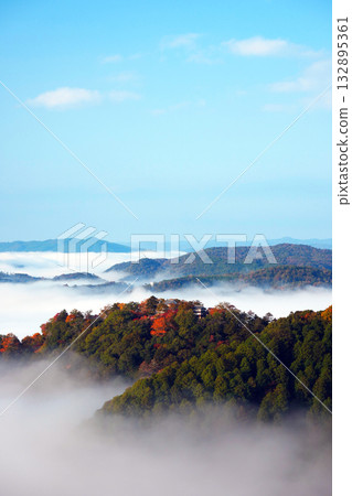 Autumn leaves in the sky 2437 132895361