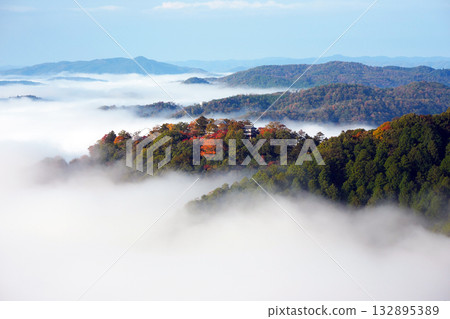 Autumn leaves in the sky 2544 132895389