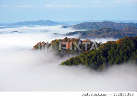 Autumn leaves in the sky 2568 132895396