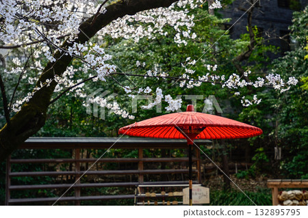 Nogi Shrine的櫻花 Nogi Shrine的櫻花 132895795