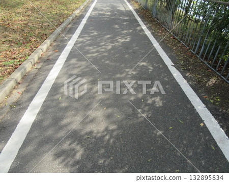 秋日的陽光灑在道路上 秋日的陽光灑在道路上 132895834