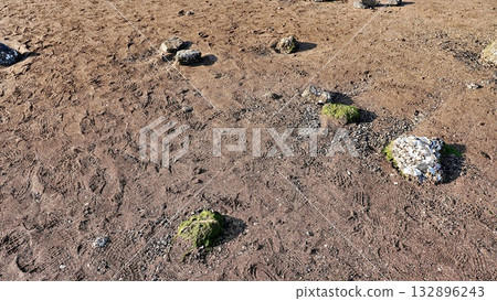 Muddy ground on the approach to Kojima Shrine in Iki City, Nagasaki Prefecture 132896243