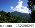 Scenic Collection of Himalayan Foothills and Natural Landscapes 132896295