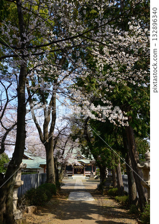 上勝塚冰川神社櫻花 上勝塚冰川神社櫻花 132896340