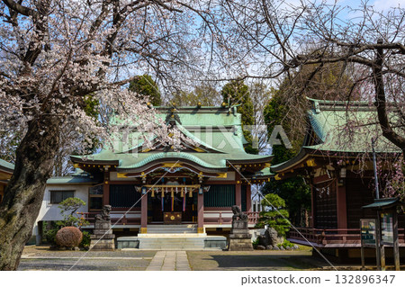 上勝塚冰川神社櫻花 132896347