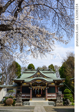 上勝塚冰川神社櫻花 132896354