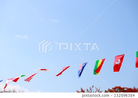 秋日的天空飄揚著世界各國的國旗 132896384