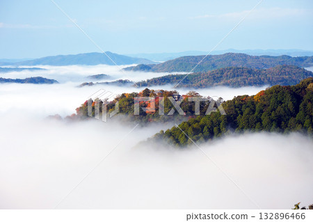 Autumn leaves in the sky 2618 132896466