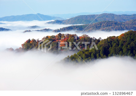 Autumn leaves in the sky 2624 132896467