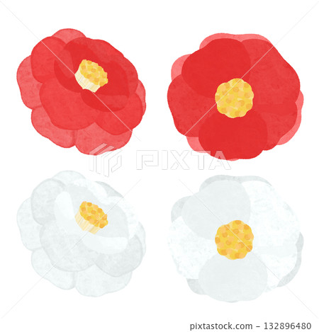 手繪的紅白山茶花圖案 132896480