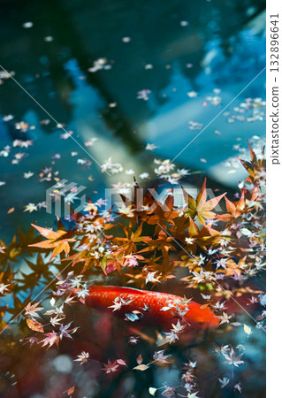 Autumn patterns created by multiple exposures (1) 132896641