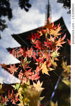 Autumn patterns created by multiple exposures (3) 132896643