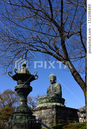 Gokokuji大佛 132896860