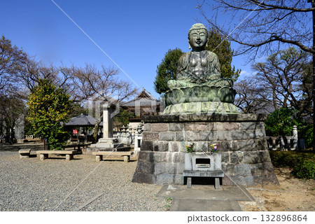 Gokokuji大佛 132896864