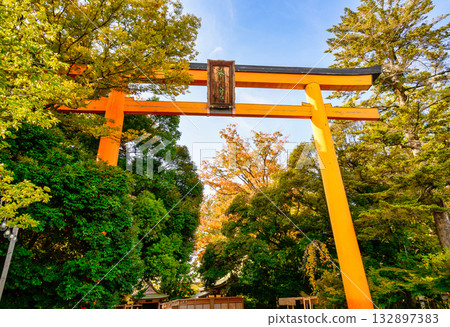 川越市川越冰川神社大鳥居 132897383