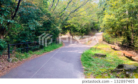 北九州市清太之森公園 北九州市清太之森公園 132897405