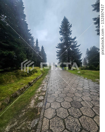 Mountain Horizons Road Through Majestic Peaks 132897437