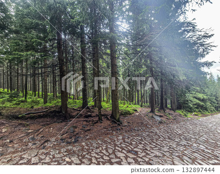 Mountain Horizons Road Through Majestic Peaks Mountain Horizons Road Through Majestic Peaks 132897444