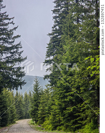 Mountain Horizons Road Through Majestic Peaks Mountain Horizons Road Through Majestic Peaks 132897451