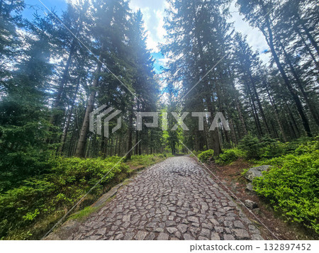 Mountain Horizons Road Through Majestic Peaks Mountain Horizons Road Through Majestic Peaks 132897452