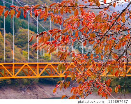 Bridge with autumn leaves 132897487