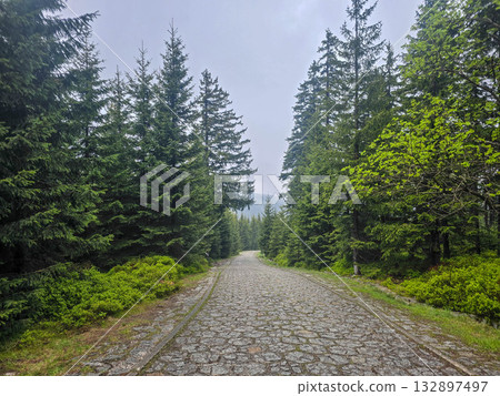 Mountain Horizons Road Through Majestic Peaks Mountain Horizons Road Through Majestic Peaks 132897497