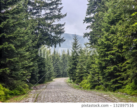 Mountain Horizons Road Through Majestic Peaks Mountain Horizons Road Through Majestic Peaks 132897516