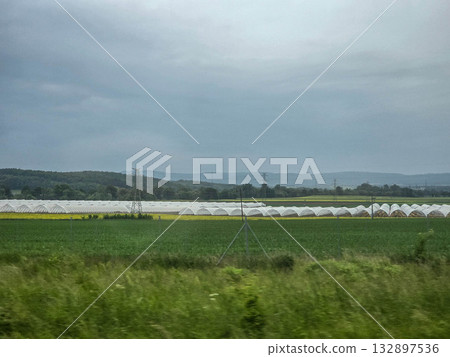 GreenhouseHorizon greenhouse greenhouse complex agrocomplex GreenhouseHorizon greenhouse greenhouse complex agrocomplex 132897536