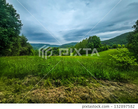 Nature Harmony Living Landscapes nature 132897582