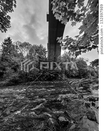 Concrete Railway Bridge in the Forest Concrete Railway Bridge in the Forest 132897989