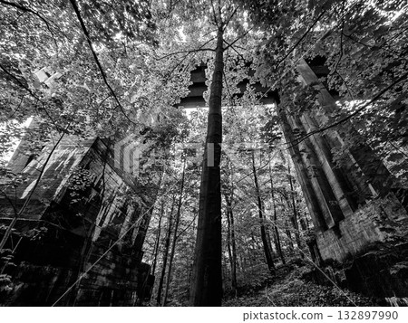 Concrete Railway Bridge in the Forest 132897990