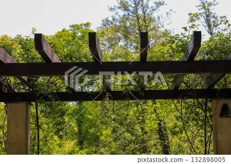 Pergola in Spring Light Garden Architecture and Nature Harmony 132898005
